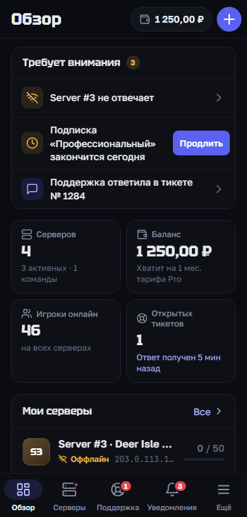 Экран «Обзор»: что требует внимания, серверы, баланс, игроки онлайн